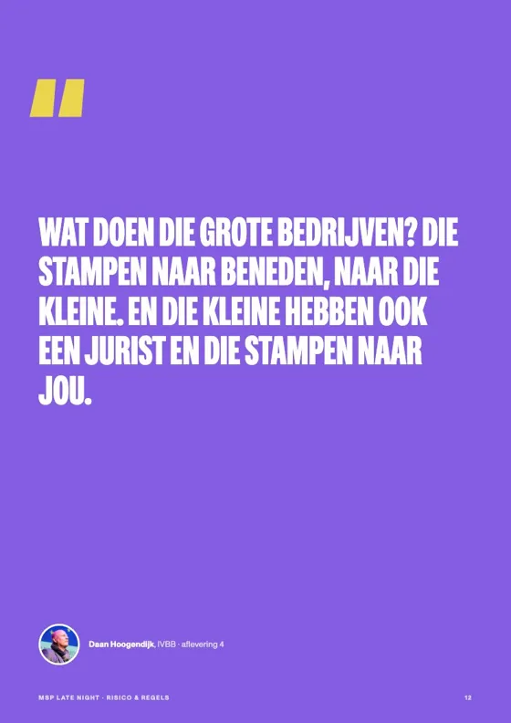Pagina uit de white paper Risico & regels